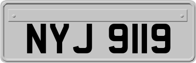 NYJ9119