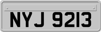 NYJ9213