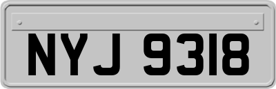 NYJ9318