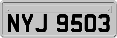 NYJ9503