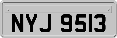 NYJ9513