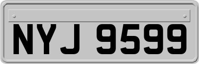 NYJ9599
