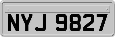 NYJ9827