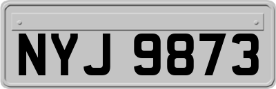 NYJ9873