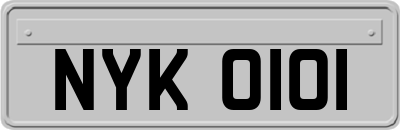 NYK0101