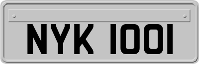 NYK1001