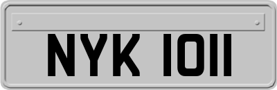 NYK1011