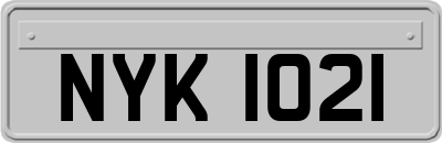 NYK1021