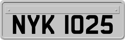 NYK1025
