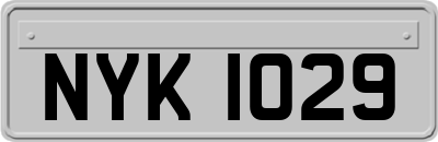 NYK1029