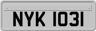 NYK1031