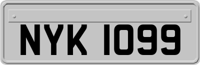 NYK1099
