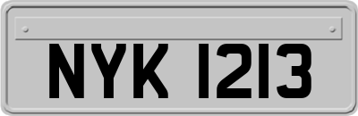 NYK1213