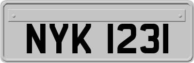 NYK1231