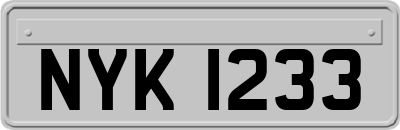 NYK1233