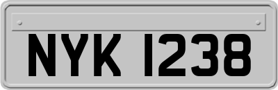NYK1238