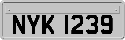 NYK1239