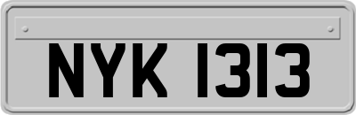 NYK1313