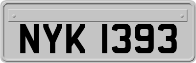NYK1393