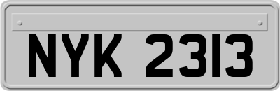 NYK2313