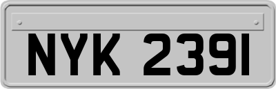 NYK2391