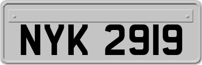 NYK2919