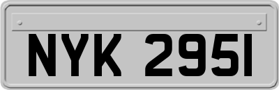 NYK2951