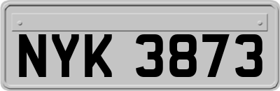 NYK3873