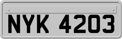 NYK4203