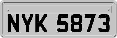 NYK5873