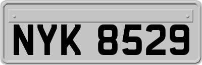 NYK8529