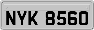 NYK8560