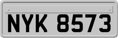 NYK8573