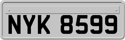 NYK8599