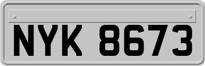 NYK8673