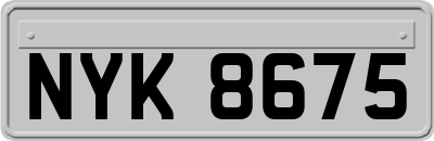 NYK8675