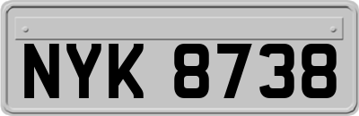 NYK8738