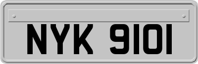 NYK9101