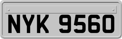 NYK9560