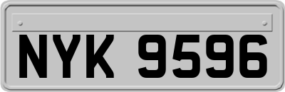 NYK9596