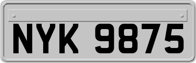 NYK9875