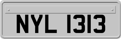 NYL1313