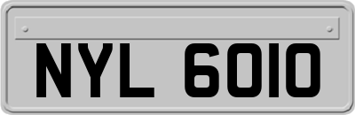 NYL6010