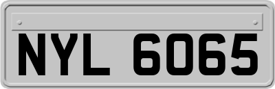 NYL6065