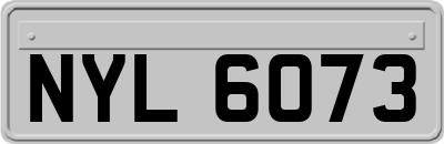 NYL6073