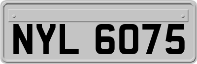 NYL6075