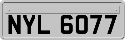 NYL6077