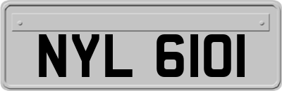 NYL6101