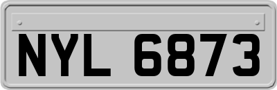 NYL6873
