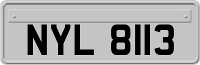 NYL8113